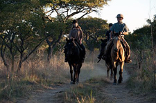 South Africa-Waterberg/Mashatu-African Explorer Horse Safari